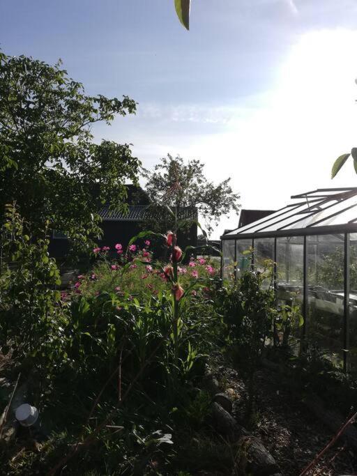 De Kaasmakerij - Ruim Vakantiehuisje Op Huize Blokland Hem Εξωτερικό φωτογραφία